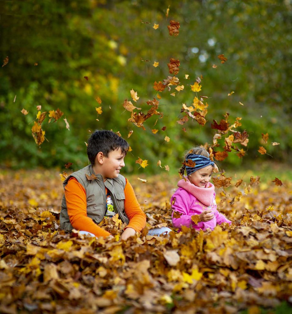 kids playing in leaves