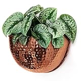 Allegorie Metal Wall Planter | Indoor or Outdoor Hanging Plant Pot | Farmhouse Decor & Boho Kitchen Decoration for Herbs & Succulents and Living Wall 12x7 (Copper)
