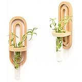 Happy St. Set of 2 Wall Hanging Propagation Station Boho Decor Wall Sconces for Indoor Plants in Gift Box