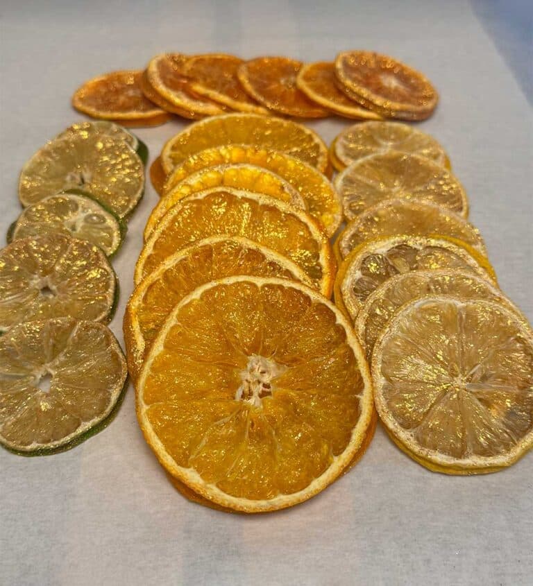 dehydrated citrus fruit, orange, lemon, lime slices with edible gold glitter